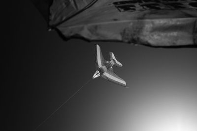 Low angle view of insect flying