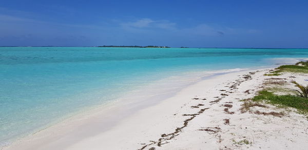 Scenic view of beach against blue sky