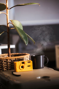 Close-up of potted plant