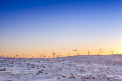 Great britain, scotland, east lothian, lammermuir hills, wind farm in winter at sunset