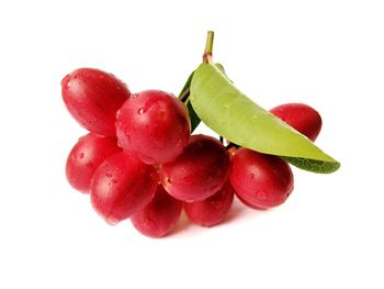 Close-up of fruits against white background
