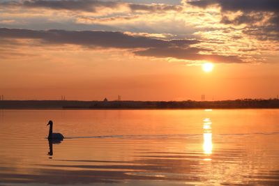 Scenic view of sunset over sea