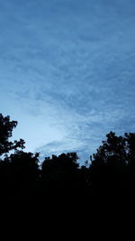 Low angle view of silhouette trees against sky