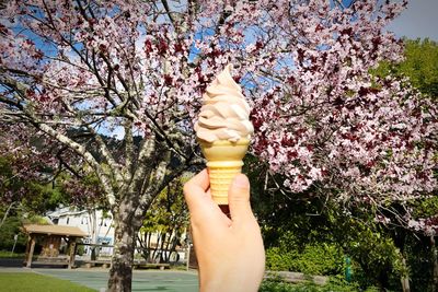 Close-up of hand holding ice cream