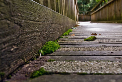 Surface level of walkway