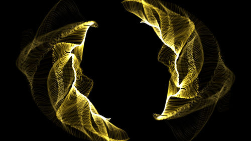 Close-up of illuminated leaf against black background