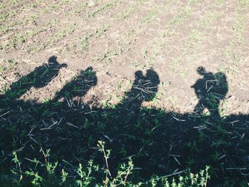High angle view of shadow on field
