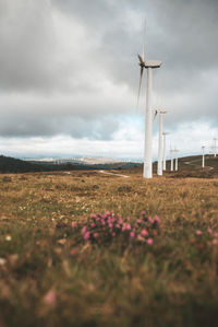 Wind turbines on field against sky