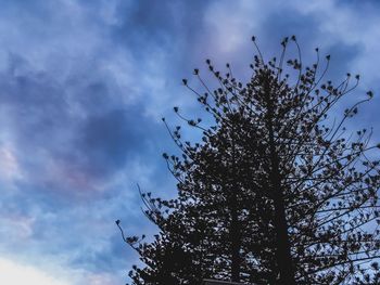 Low angle view of silhouette tree against sky