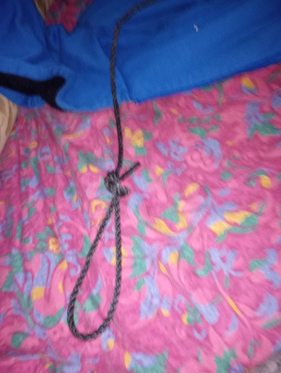 noose the stalkers leave new ones n the yard under a tree Everytime I throw them away Stalkers Stalked Across State Lines Mob Stalked Follow Me Everywhere Danger Gangs Bullies Evil