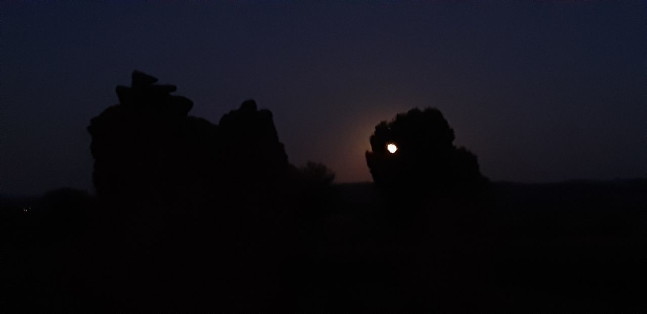 PORTRAIT OF SILHOUETTE PEOPLE AGAINST SKY AT NIGHT