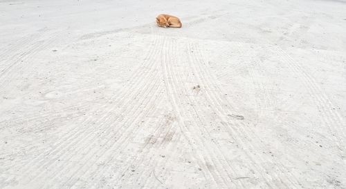 High angle view of people on the beach