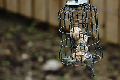 Close-up of wire hanging on metal