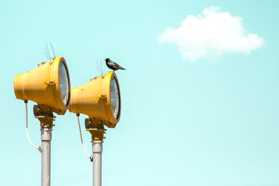 Low angle view of seagull on street light against sky