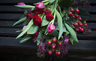 Close-up of red flowers