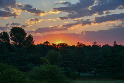 Scenic view of trees against sky during sunset