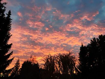 Low angle view of silhouette trees against dramatic sky