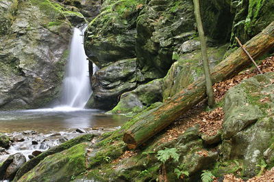 Nyznerov waterfalls on the siver brook, czech republic