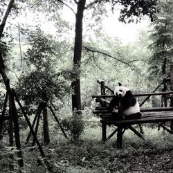 People sitting on bench