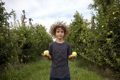 A kid picking apples from the trees