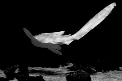 Close-up of hand swimming underwater