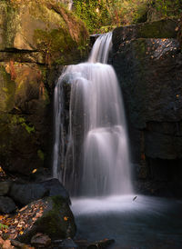 Scenic view of waterfall in forest