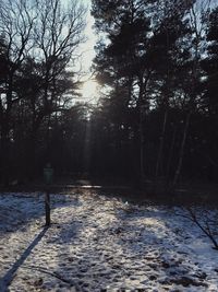 Trees by lake against sky during winter