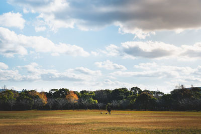 Scenic view of trees on field against sky