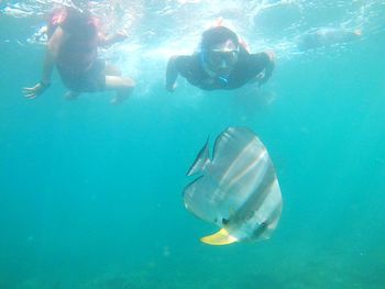 Young men swimming by fish in sea