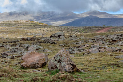 Scenic view of landscape