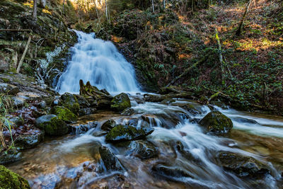 Scenic view of waterfall in forest