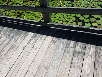 High angle view of fruits on wood