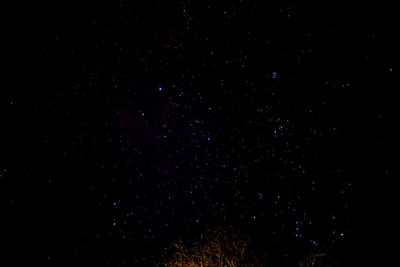 Star field against sky at night