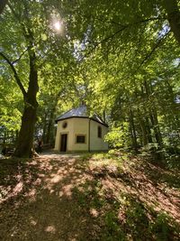 House amidst trees and plants in forest