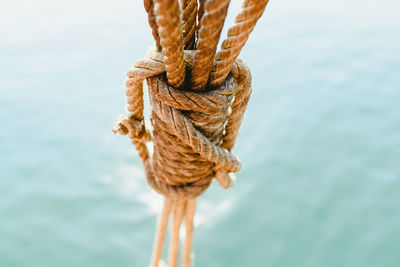 Close-up of rope tied on wooden post