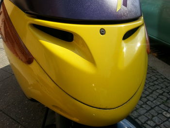 Close-up of yellow flower