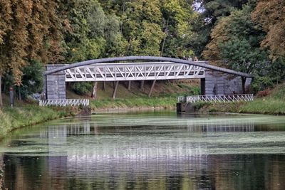 View of bridge over lake in forest