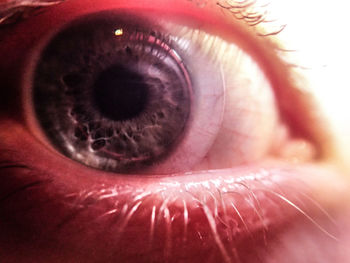 Extreme close up of human eye
