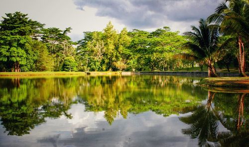 Scenic view of lake by trees against sky