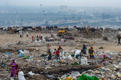 Landfill in new delhi india