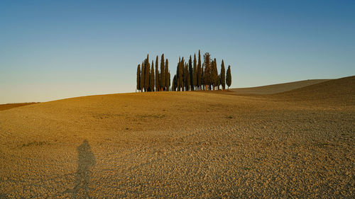 Built structure on field against clear sky