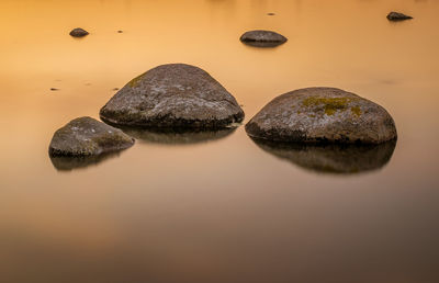 Close-up of rocks on shore