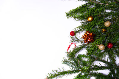 Low angle view of christmas tree against sky