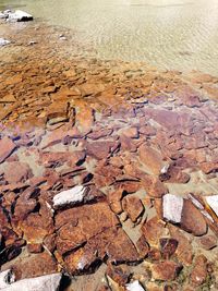 High angle view of stones on beach