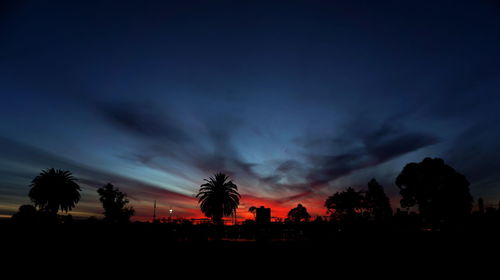 Silhouette palm trees against sky during sunset