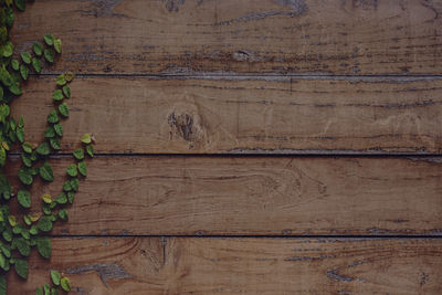 Full frame shot of weathered wooden wall