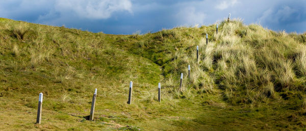 Panoramic view of land against sky