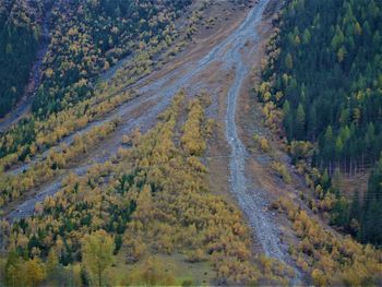 High angle view of road passing through forest