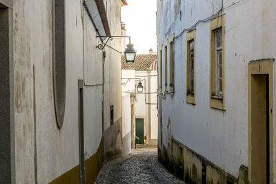 Alley amidst houses against sky