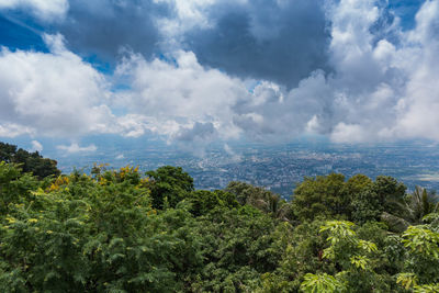 Scenic view of trees against cloudy sky